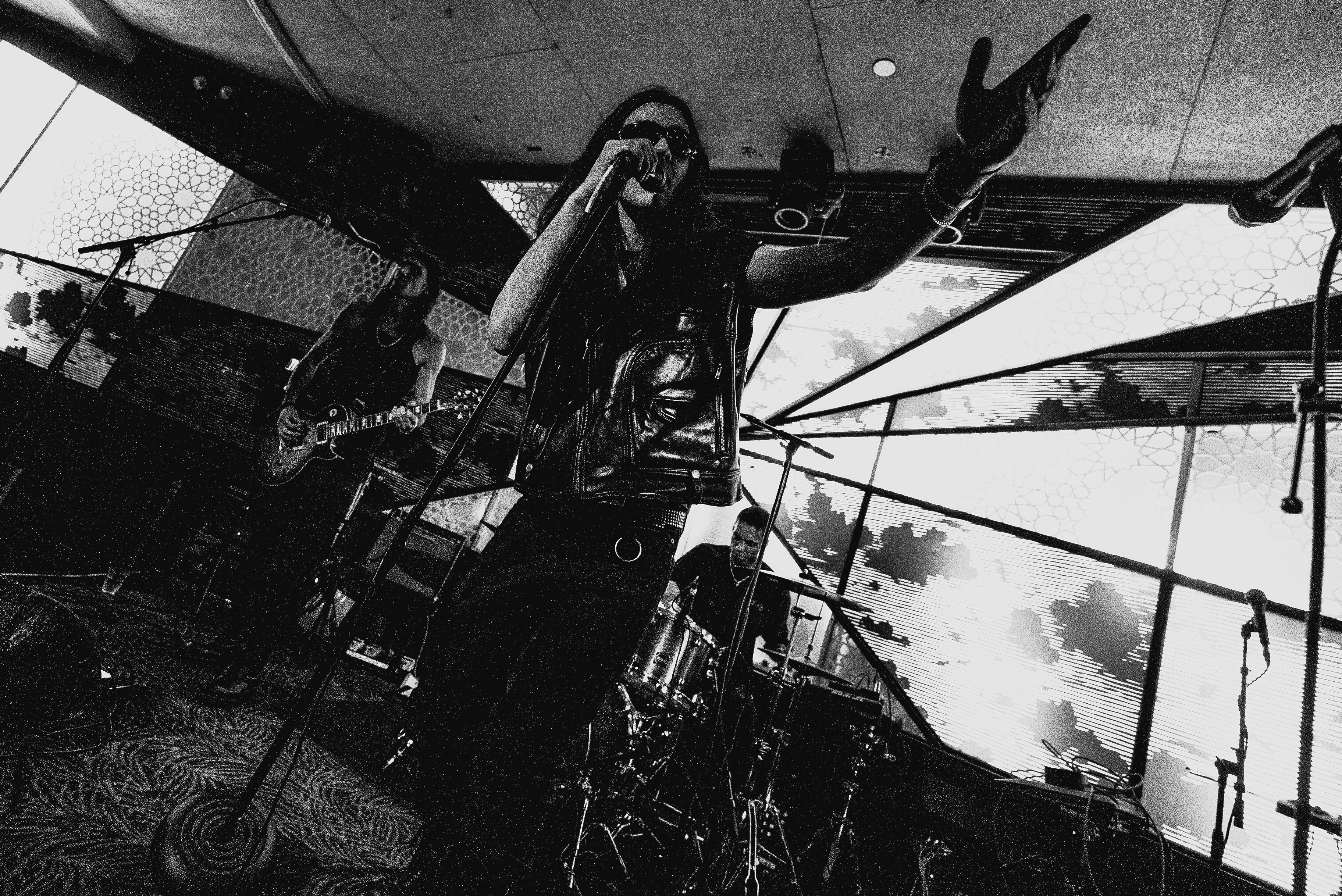 PPLCTRL live